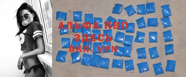 гашик Елизово