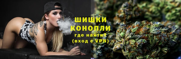 шишки Елабуга