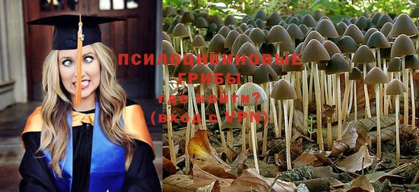 гашик Елизово
