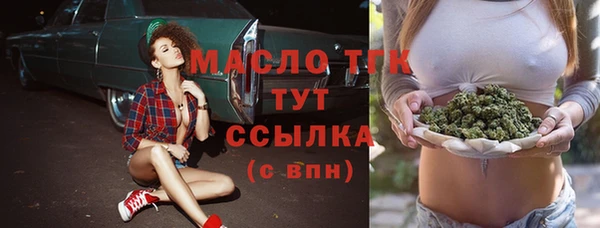 ECSTASY Ельня