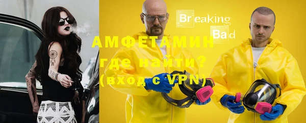 ECSTASY Ельня