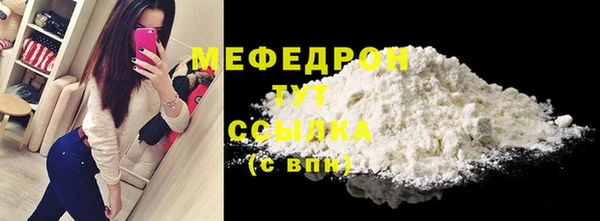 ECSTASY Ельня