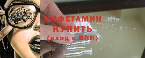 ECSTASY Ельня