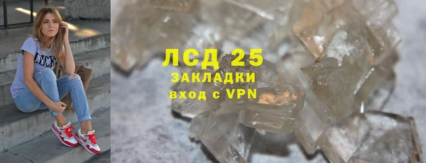 ECSTASY Ельня