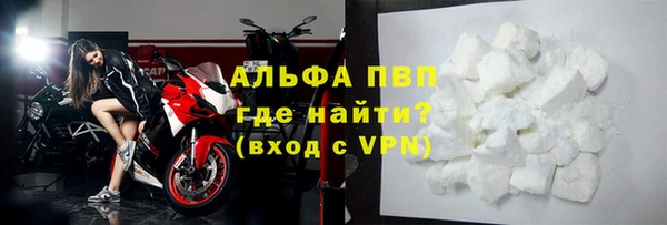 гашик Елизово
