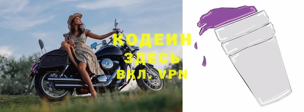 шишки Елабуга