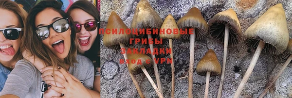 гашик Елизово