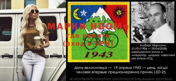 гашик Елизово