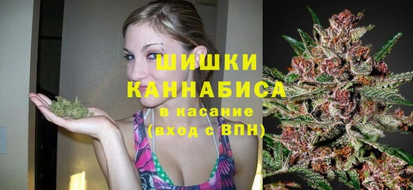 гашик Елизово