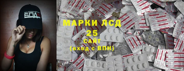 шишки Елабуга