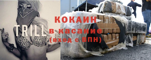 шишки Елабуга