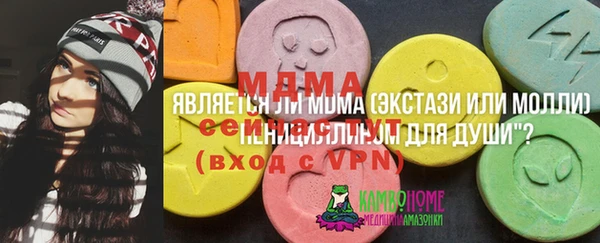 ECSTASY Ельня