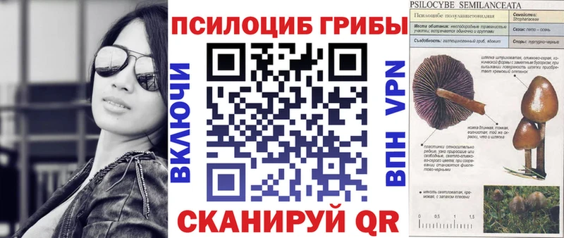 Галлюциногенные грибы MAGIC MUSHROOMS  Купить  Талдом 